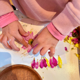 Jardín de Infantes Mundo Naranja