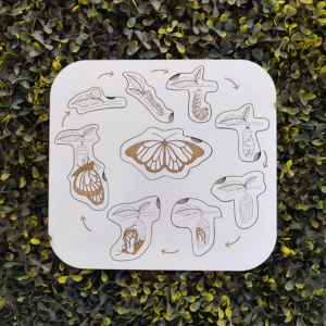 Rin Caladin Wooden Toys