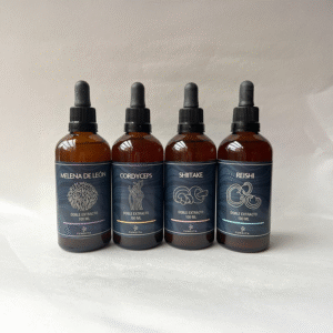 Fungita Adaptógenos